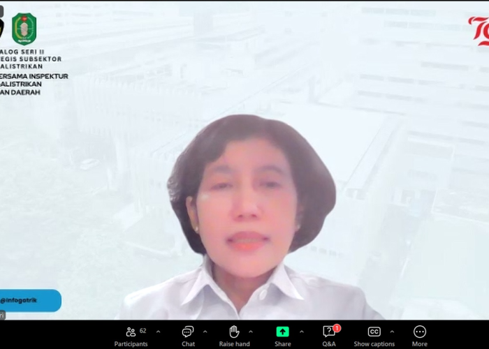 Peran Inspektur Ketenagalistrikan Semakin Vital, Sinergi Pusat dan Daerah Dibutuhkan - Gambar 2