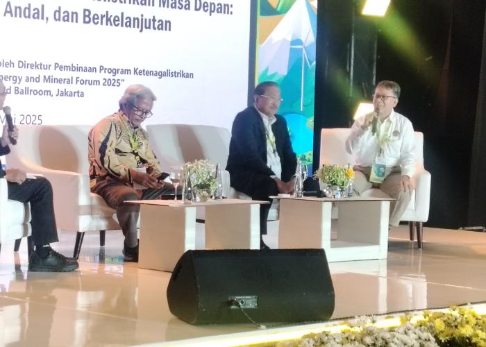 Kementerian ESDM Tegaskan Komitmen Alirkan Listrik Ke Kawasan-Kawasan Khusus - Gambar 2