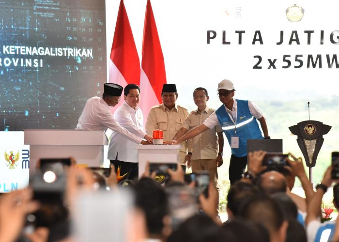  100 Hari Pemerintahan, Presiden Prabowo Resmikan  Proyek-Proyek Strategis Ketenagalistrikan - Gambar 2