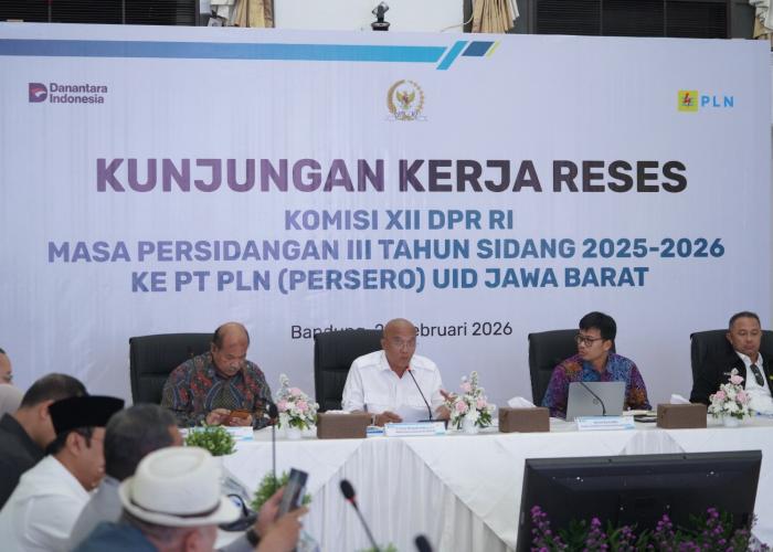 Optimalkan Anggaran, Kementerian ESDM Tingkatkan Target Lokasi Listrik Perdesaan - Gambar 2