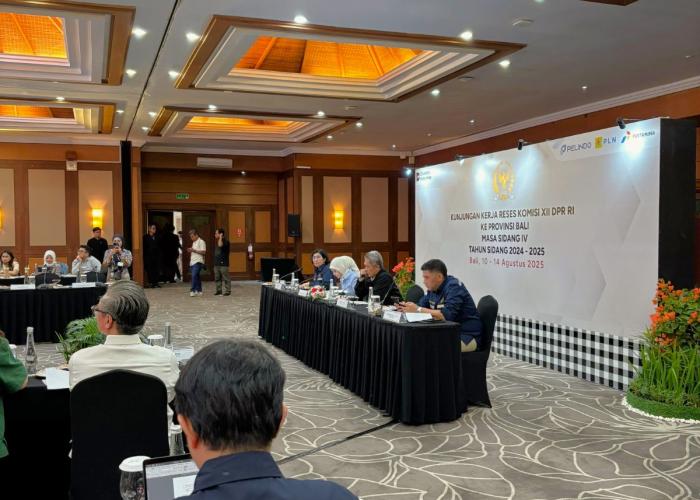 Kementerian ESDM dan DPR RI Dukung Pemanfaatan LNG untuk Ketahanan Energi Bersih di Bali - Gambar 2