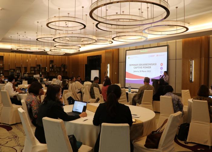 Pemerintah Dorong Penurunan Emisi Pembangkit Milik Privat (Captive Power) - Gambar 2