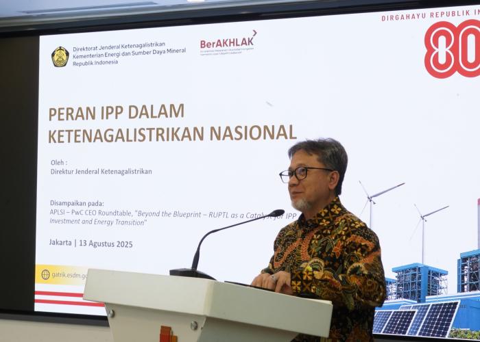 RUPTL Jadi Katalis Investasi IPP dan Percepatan Transisi Energi - Gambar 2