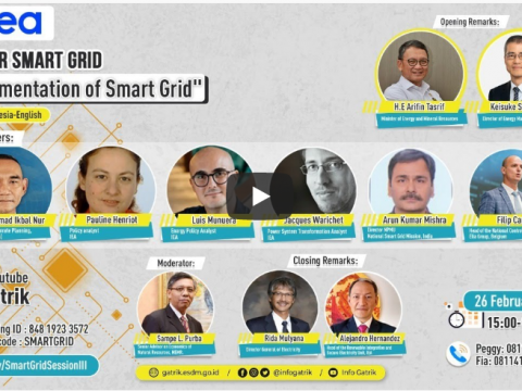 Webinar Smart Grid 